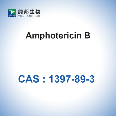 Amphotericin Bは細胞培養CAS 1397-89-3の抗生物質を粉にする