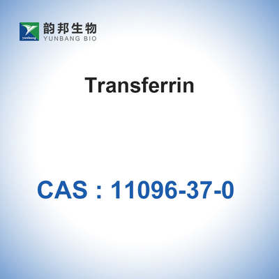 CAS 11096-37-0の生物的触媒の酵素/Holoの人間のTransferrin