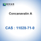 Canavalia Ensiformis Jack BeanからのCAS 11028-71-0 Concanavalin A