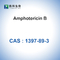 Amphotericin Bは細胞培養CAS 1397-89-3の抗生物質を粉にする