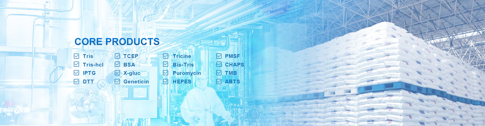 生物的触媒の酵素