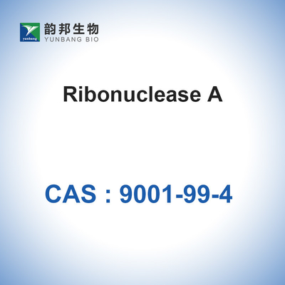 RNase牛のような膵臓生物的CAS 9001-99-4からのリボヌクレアーゼA