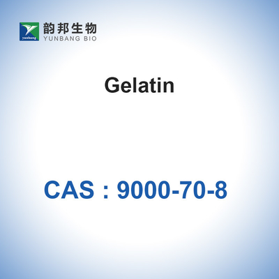 CAS 9000-70-8のゼラチンの粉の吸収性のゼラチンのスポンジの濃厚剤