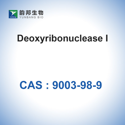 牛のような膵臓CAS 9003-98-9からのDNase Iの（&gt;400u/Mg）デオキシリボヌクレアーゼI