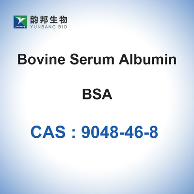 牛のようなアルブミンは生化学的な試薬BSAが粉を凍結乾燥させたCAS 9048-46-8を粉にする