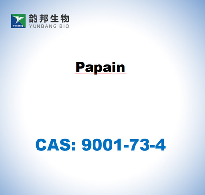 CAS 9001-73-4 パパイアラテックスからのパパイン