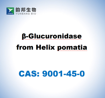 CAS 9001-45-0 ヘリックス・ポマティアからのβ-グルキュロニダース