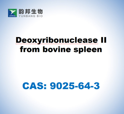 CAS 9025-64-3 牛の脊髄からのデオキシリボヌクレアースII