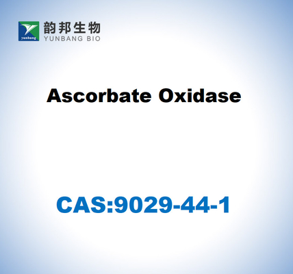 CAS 9029-44-1 アスコルバート酸化酶