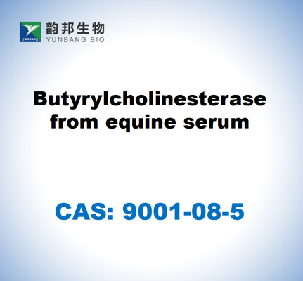 CAS 9001-08-5 馬の血清からのブチリルコレネステラーゼ