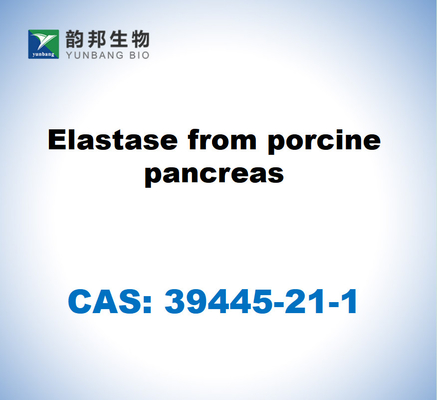 CAS 39445-21-1 豚の胰腺からのエラスタース