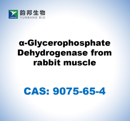 CAS 9075-65-4 ク rabbit の筋肉から α-グリセロフォスファート脱水酶