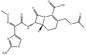 CAS 63527-52-6 Cefotaximeacid Cefotaximeの抗生の原料