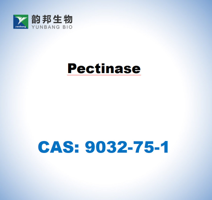 CAS 9032-75-1 アスペルギルス・ニジェルからのペクトナース