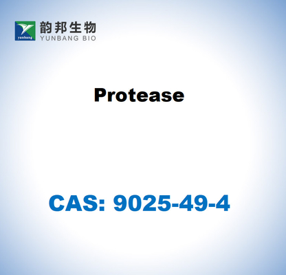 CAS 9025-49-4 Aspergillus saitoi のプロテアース