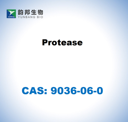 CAS 9036-06-0 ストレプトマイチェス・グライゼスのプロテアース