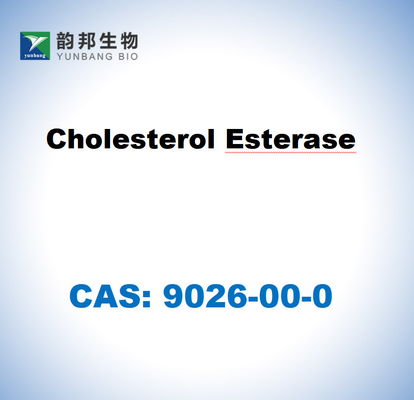 CAS 9026-00-0 プラウドモナス・フローレッセンスのコレステロールエステラーゼ