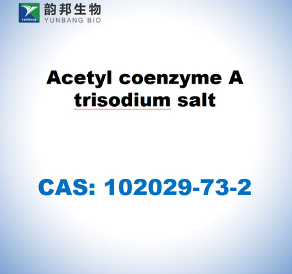 CAS 102029-73-2 アセチルコエンザイムA三塩塩