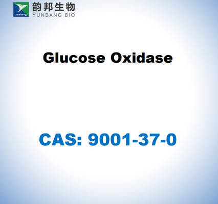 CAS 9001-37-0 アスペルギルス・ニジェルからのグルコース酸化酶