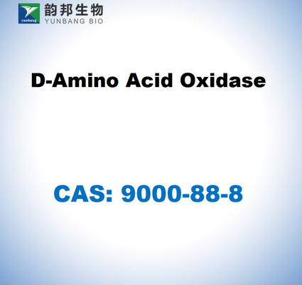 CAS 9000-88-8 豚の腎臓からのD-アミノ酸酸化酶