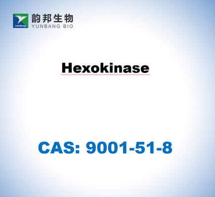 CAS 9001-51-8 Saccharomyces cerevisiae からのヘキソキナーゼ