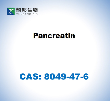 CAS 8049-47-6 豚の胰腺からの胰腺