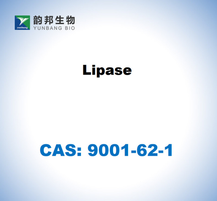 CAS 9001-62-1 Candida rugosa のリパース