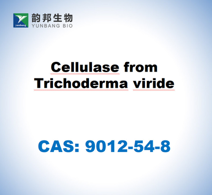 CAS 9012-54-8 トリコダーマ・ウィライドからのセルラース