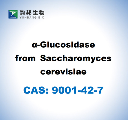 CAS 9001-42-7 サクラロマイチェス・セレビシアからのα-グルコシダース