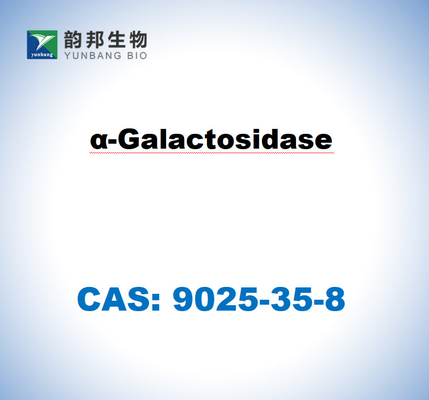 CAS 9025-35-8 アスペルギルス・ニジェールからのα-ガラクトシダース
