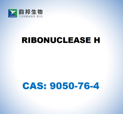 CAS 9001-99-4 リボヌクレアスH