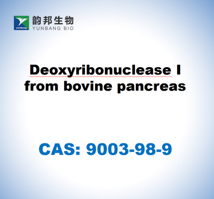 CAS 9003-98-9 牛の胰腺からのデオキシリボヌクレアスI