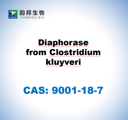 CAS 9001-18-7 クロストリジアム・クルーベリからのダイアフォラース