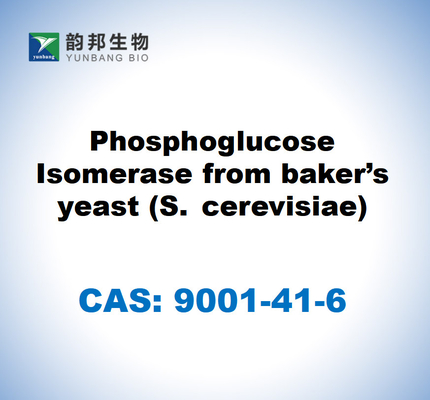 CAS 9001-41-6 パン師の酵母 (S. cerevisiae) から発現したリン酸塩同分酶