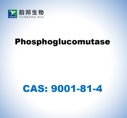CAS 9001-81-4 リンパ糖変異酶 EC 5.4.2.2
