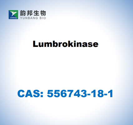 CAS 556743-18-1 ルンブロキナーゼ