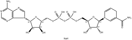 CAS 606-68-8 NADH, ディソジウム, Β-ニコチナミドアデニンダイヌクレオチド, 減量したディソジウム塩水化物