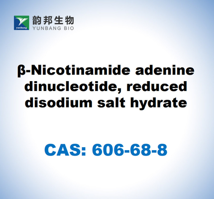 CAS 606-68-8 NADH, ディソジウム, Β-ニコチナミドアデニンダイヌクレオチド, 減量したディソジウム塩水化物