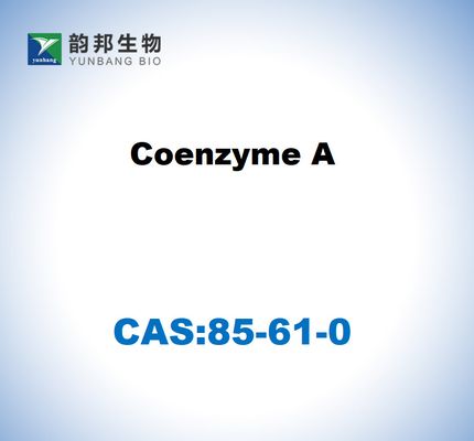 CAS 85-61-0 コエンザイムA 85% 細胞培養グレード
