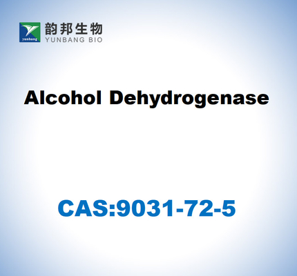 CAS 9031-72-5 アルコール脱水酶