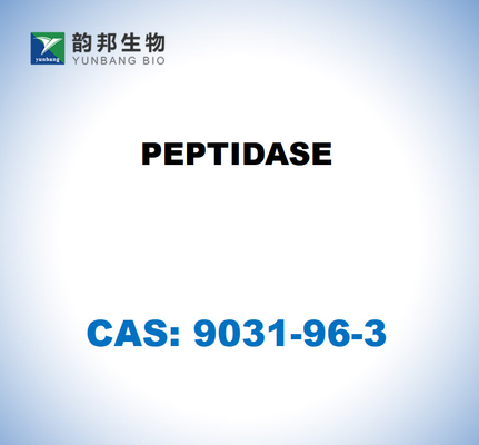 CAS 9031-96-3 ペプチダース