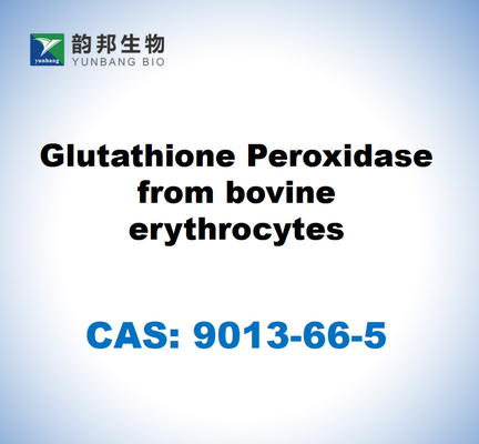 CAS 9013-66-5 牛の赤血球から採取されたグルタチオンペロキシダース