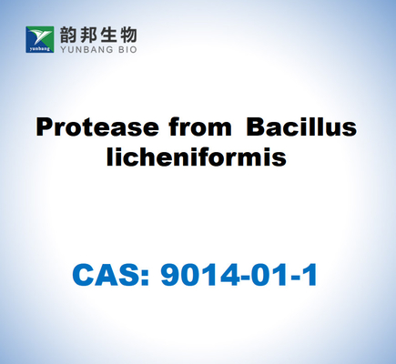 CAS 9014-01-1 Bacillus Licheniformis のプロテアース