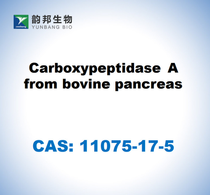 CAS 11075-17-5 牛の胰腺からのカルボキシペプチダースA