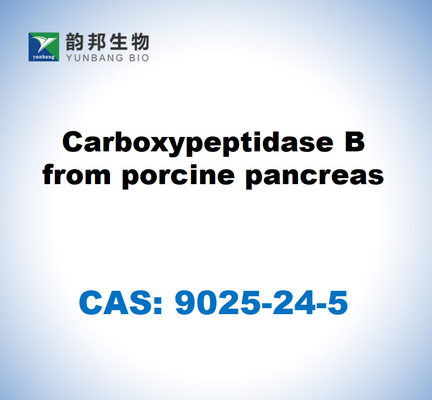 CAS 9025-24-5 豚の胰腺からのカルボキシペプチダースB