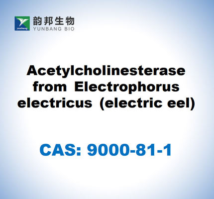 CAS 9000-81-1 馬の血清からのブチリルコリネステラーゼ