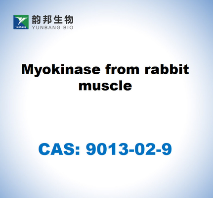 CAS 9013-02-9 ウサギの筋肉からのミオキナーゼ