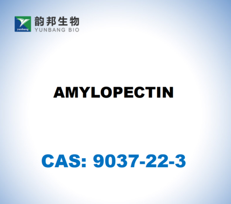 CAS 9037-22-3 アミロペクチン