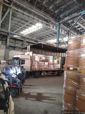 CAS 57-83-0 プロゲステロン生物化学反応剤