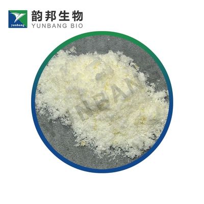 CAS 6363-53-7 D-(+)-Maltose monohydrate good quality biochemical reagents company